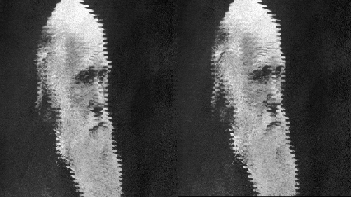 في ذكرى رحيله.. هل سرق داروين "نظرية التطور"؟