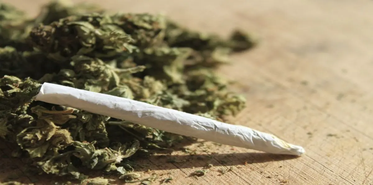 إسرائيل توافق على تصدير الماريغوانا وتتجه لتخفيف العقوبات على تعاطيها