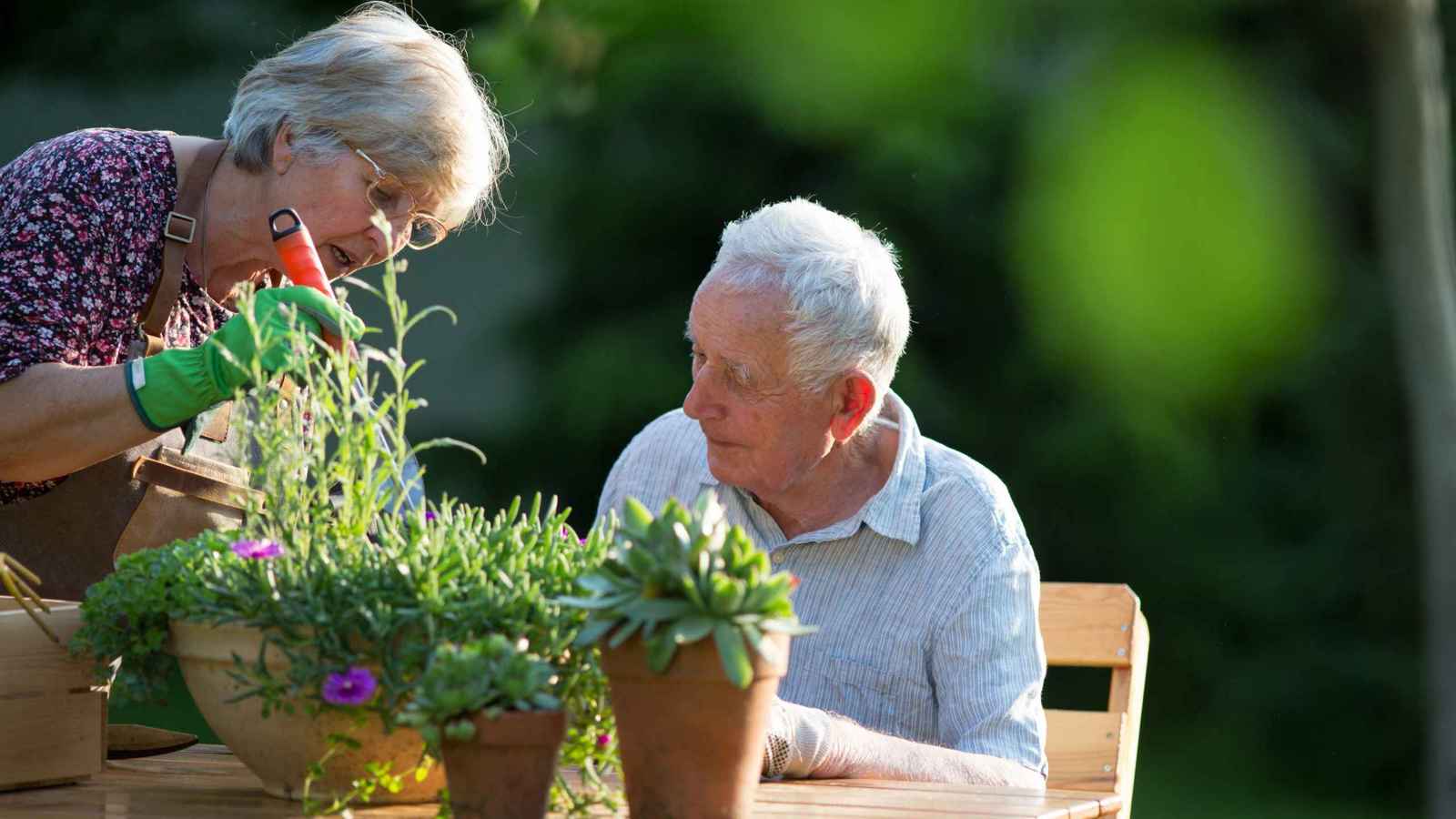 30 دقيقة من البستنة.. وصفة يومية لصحة أفضل