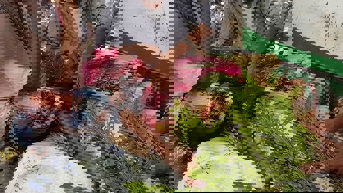 السعودية.. ضبط مهرب يمني بعد انقلاب مركبته المحملة بالقات مع آخرين سلبوا الحمولة