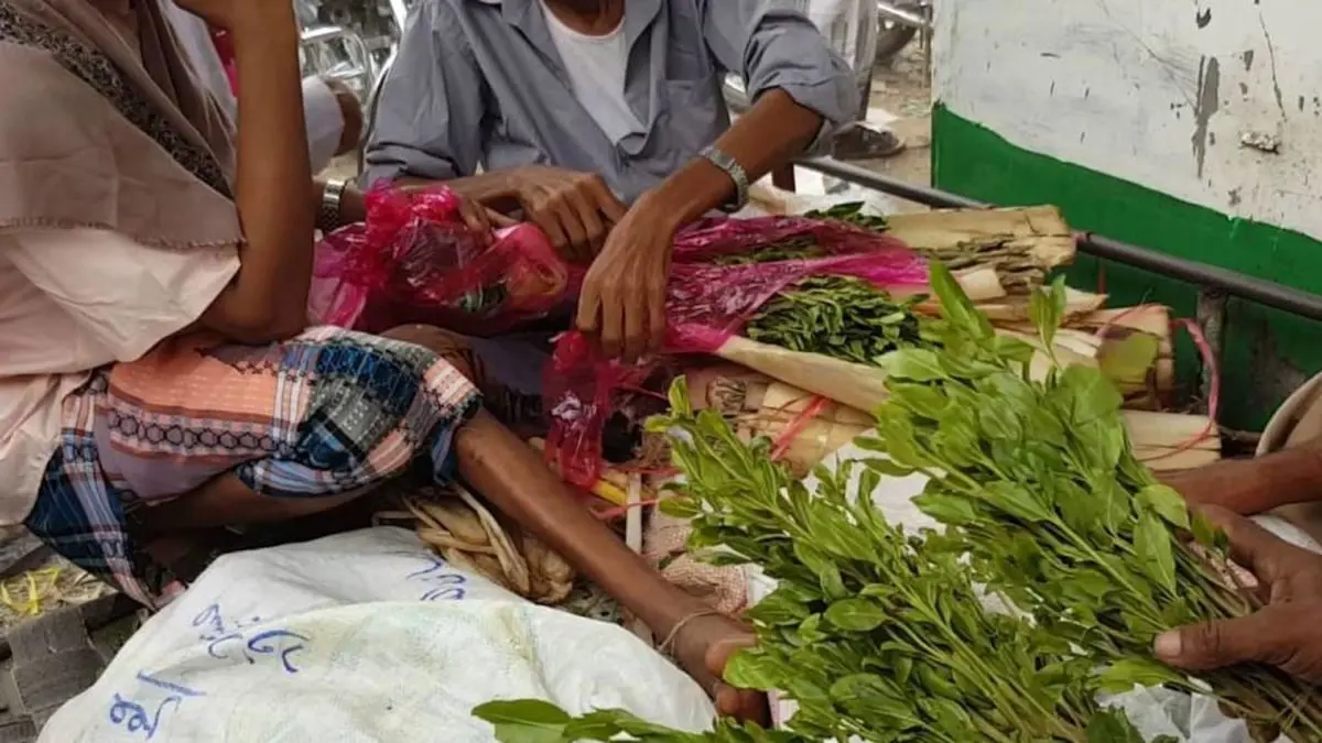 السعودية.. ضبط مهرب يمني بعد انقلاب مركبته المحملة بالقات مع آخرين سلبوا الحمولة