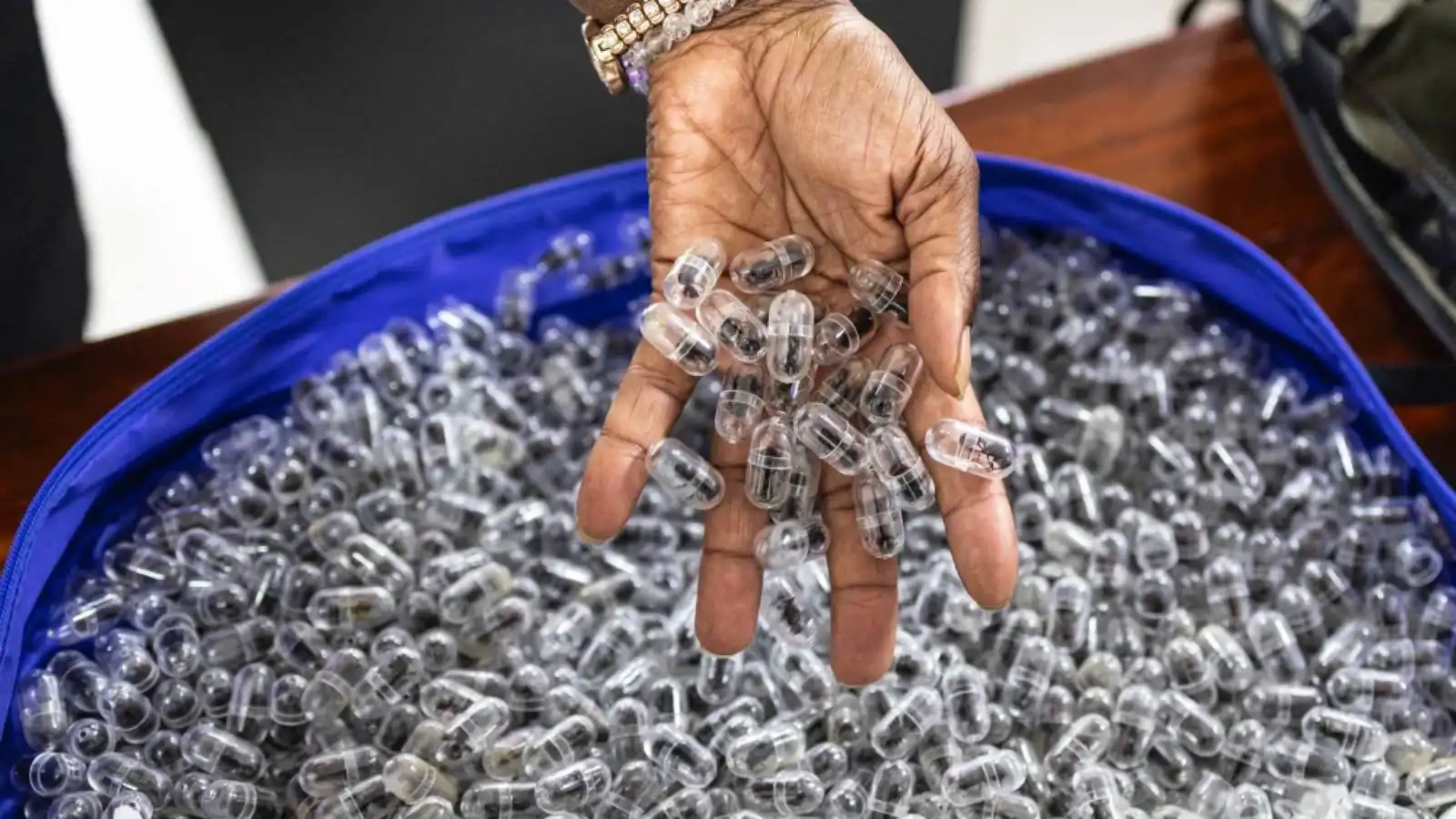 محكمة كينية تسجن رجلاً صينياً.. والتهمة "تهريب نمل حي"