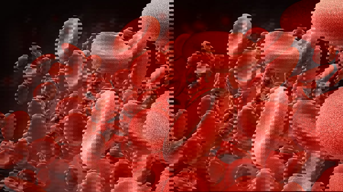 الجلطة الدموية.. أعراضها وأسبابها وأنواعها وكيفية تجنبها