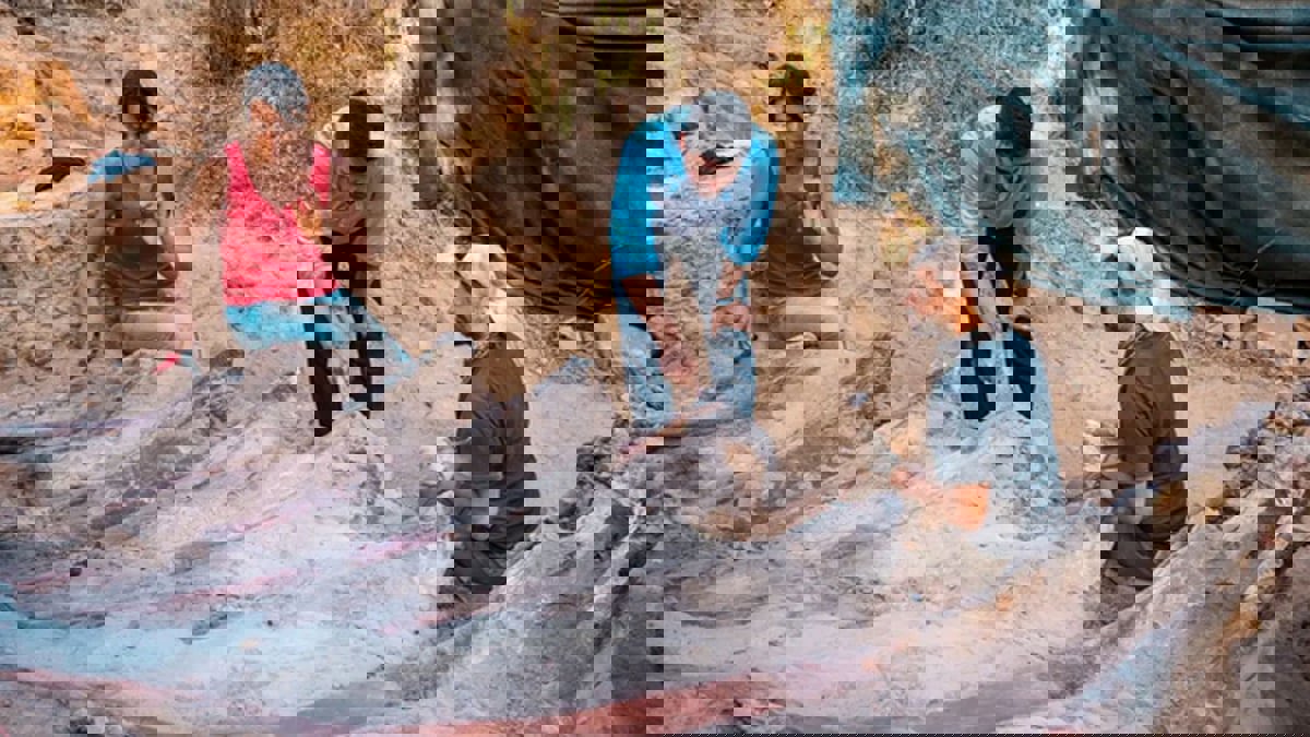 اكتشاف بقايا أكبر ديناصور في أوروبا داخل حديقة منزل برتغالي