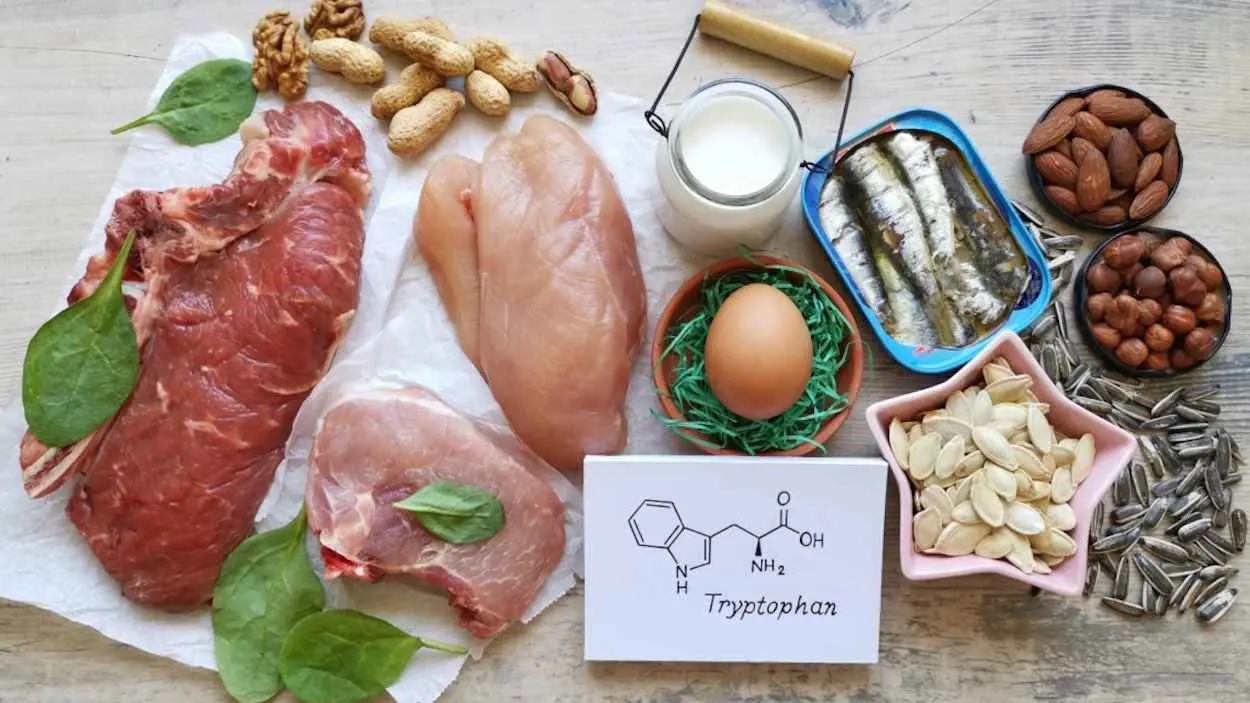 "التريبتوفان".. كيف تأخذ كفايتك من "هرمون تنظيم دورة النوم"؟