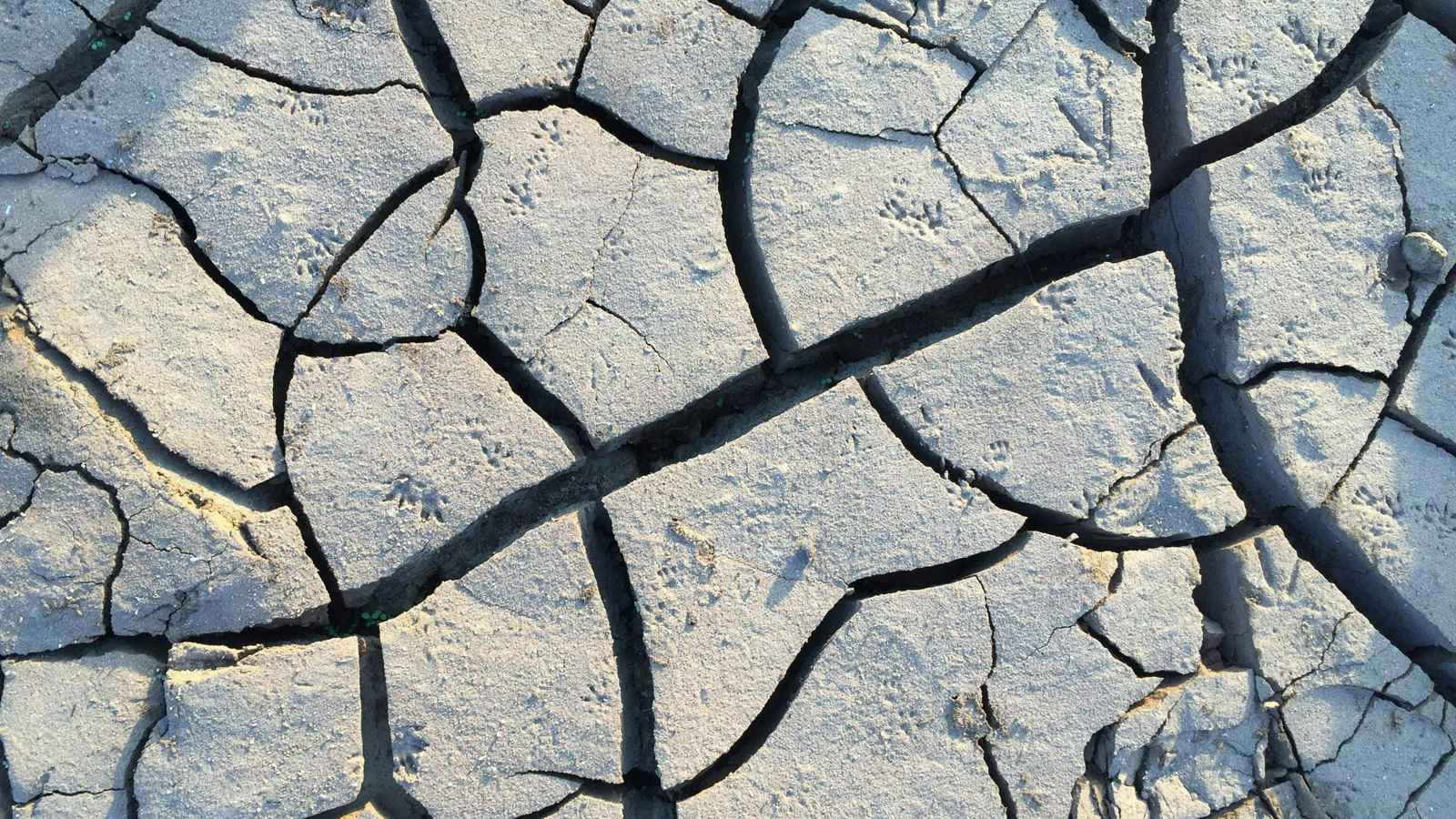 هزة أرضية بقوة 5.1 درجة تضرب جنوبي كاليفورنيا (فيديو)