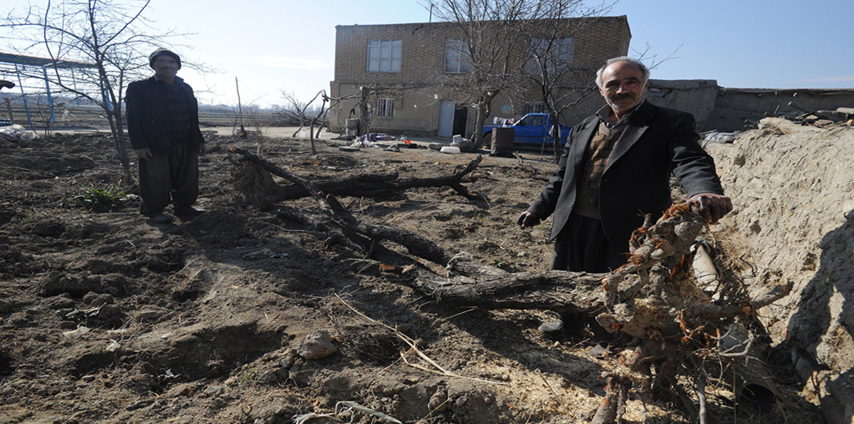 100 سدّ إيراني تكافح بسبب نقص منسوب المياه بفعل الجفاف