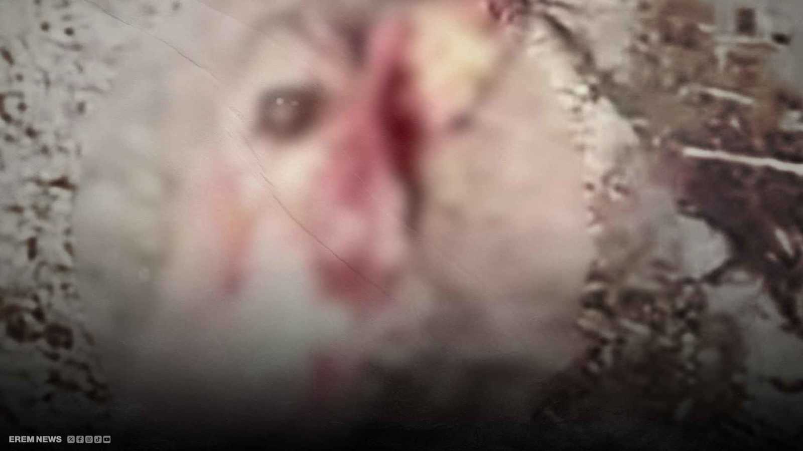 عظام غامضة تستنفر السلطات المغربية.. ما القصة؟ (فيديو إرم)