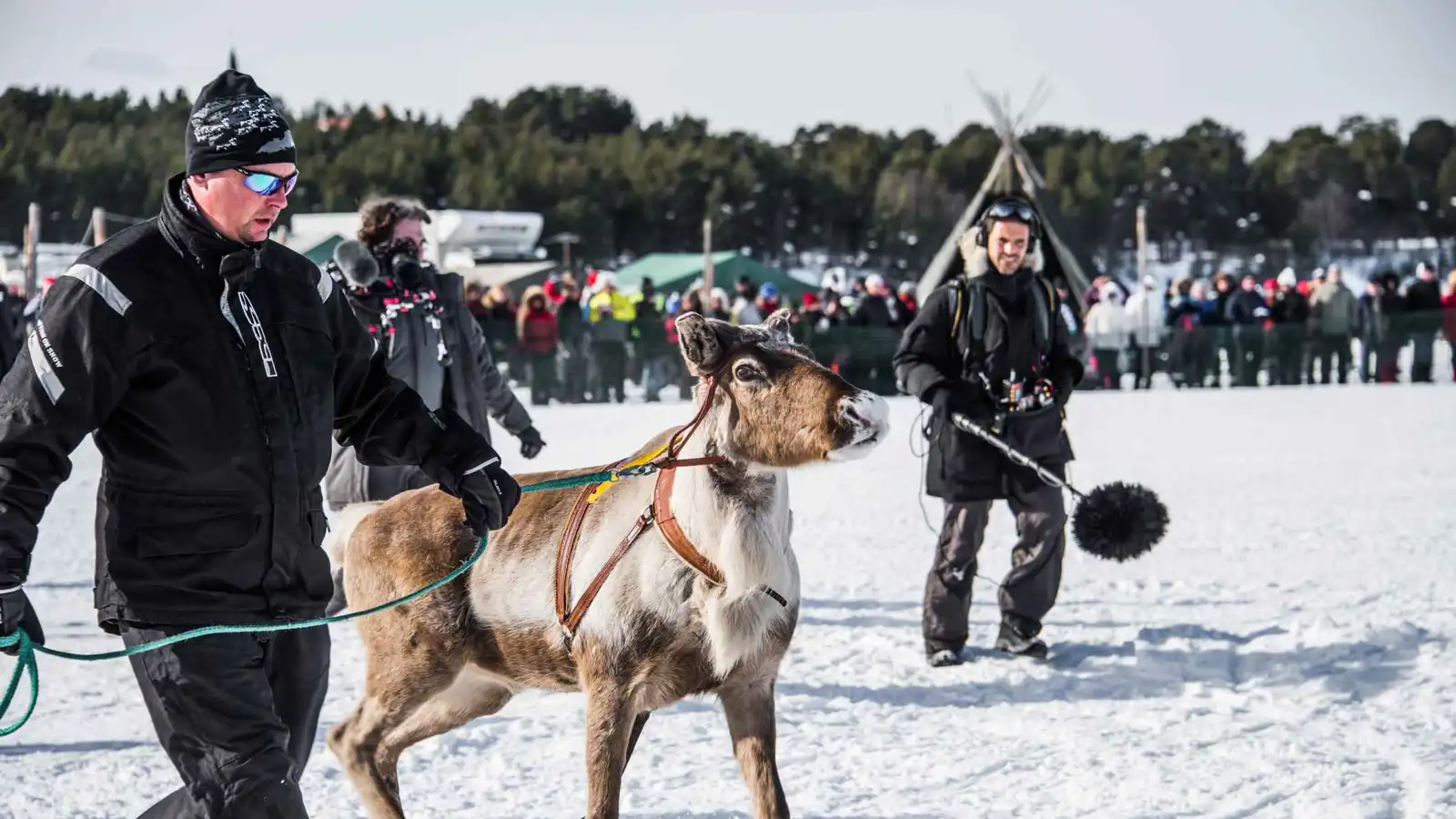 حماس "سباقات الرنّة" التقليدية يذيب جليد الشتاء في فنلندا (فيديو)