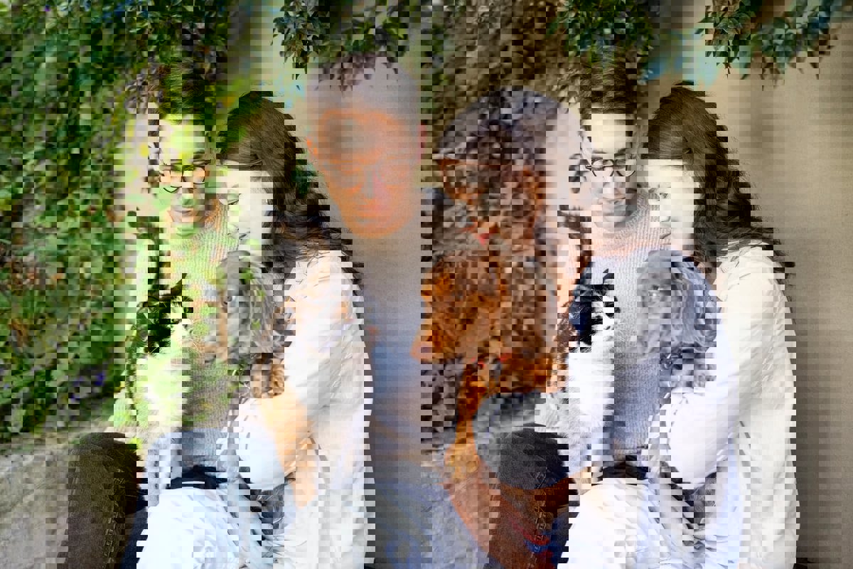 إسبانيا.. انخفاض معدل المواليد يصب في مصلحة الحيوانات الأليفة