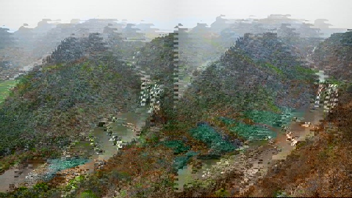 دراسة: أزمة المناخ السبب في نشأة وباء كورونا