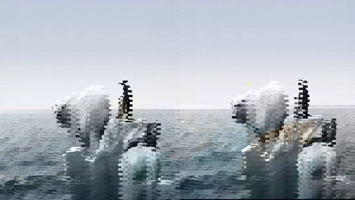 ما الكائنات المهددة بالانقراض بفعل التغير المناخي؟