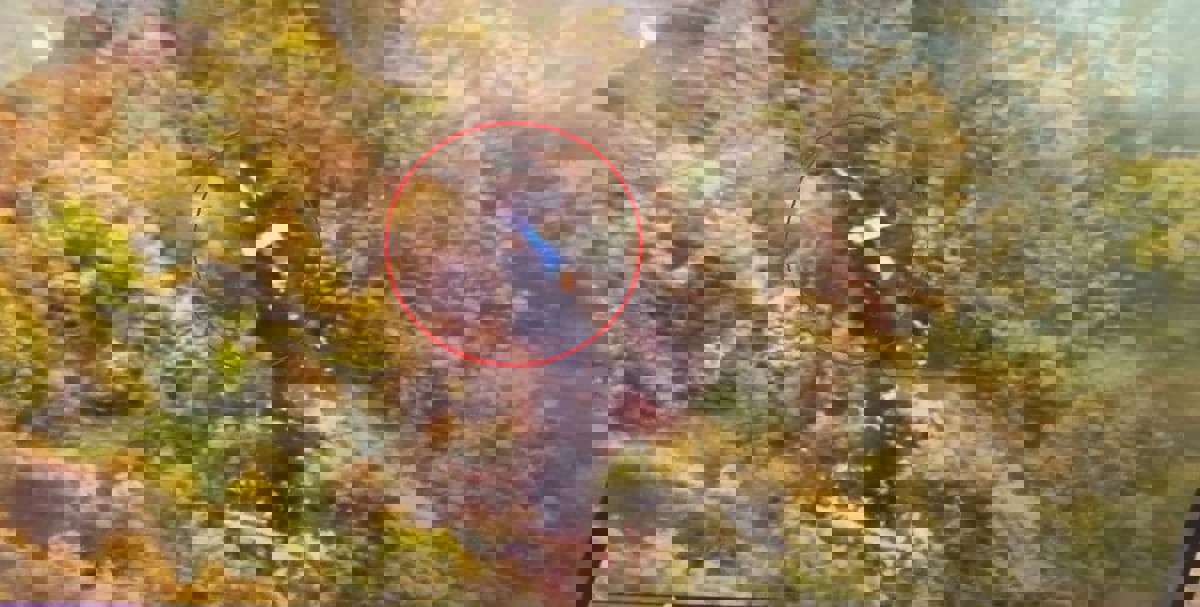 نائب عبداللهيان: الطقس أثناء عودتنا من أذربيجان كان سيئا للغاية