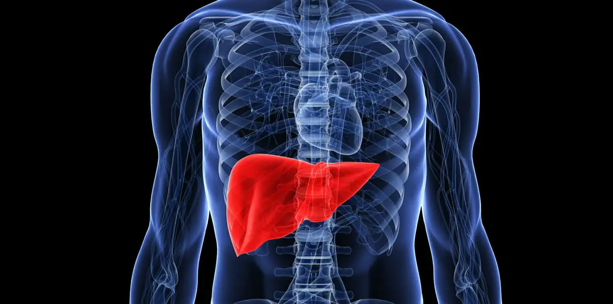 لتطهير الكبد.. إليك هذه المشروبات البسيطة