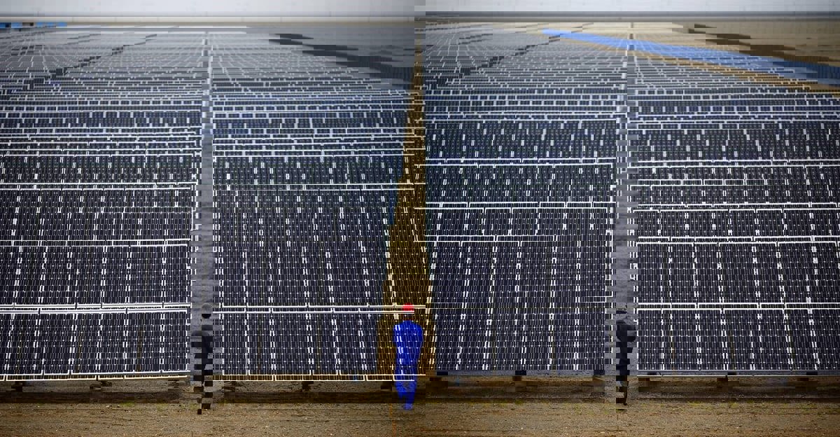 رغم التكلفة.. هل تمتلك مصر القدرة على توليد الطاقة الشمسية؟