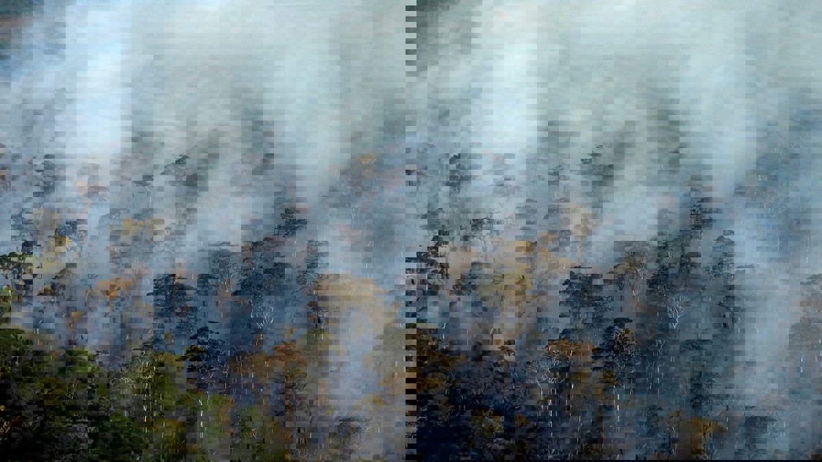 رئيس البرازيل يتهم نجمًا في هوليوود بتمويل حرائق الأمازون