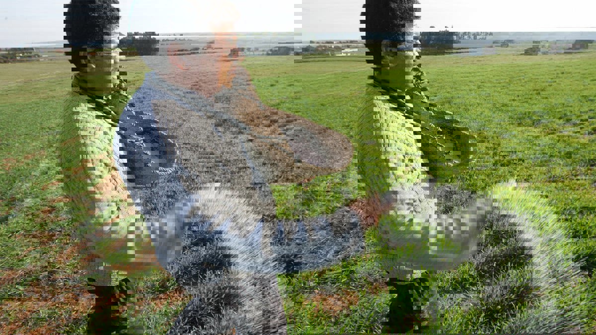 نقابة مغربية تحذر حكومة أخنوش من أزمة أمن غذائي