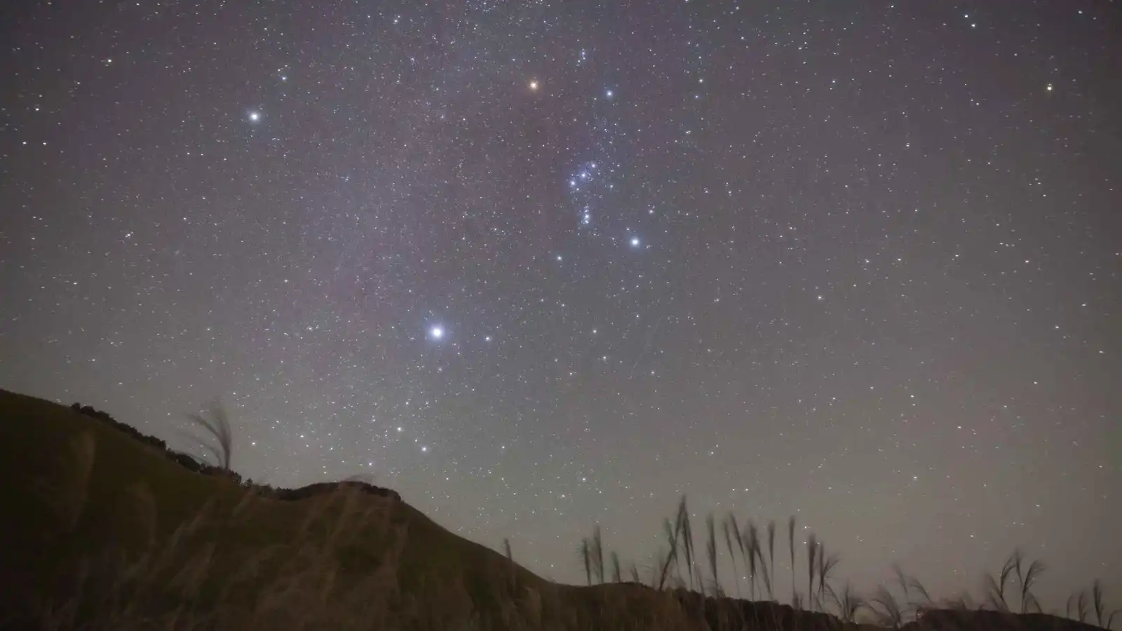 مذكور بالقرآن الكريم.. مصر ترصد نجم "الشعرى اليمانية"
