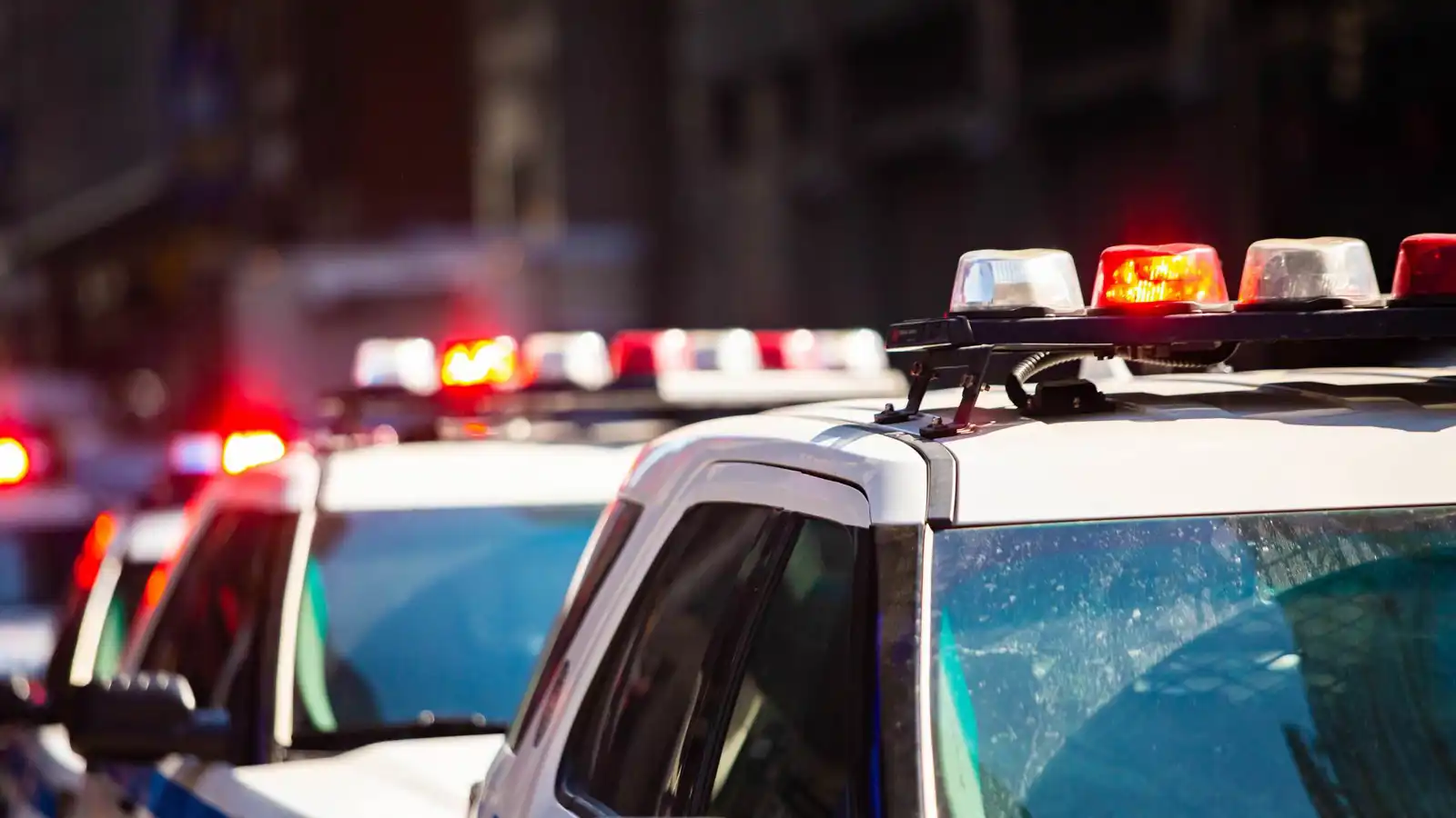 سرقة تنتهي بكمين.. رجل يحاول بيع أحجار كريمة لشرطي متخفٍ (صور)