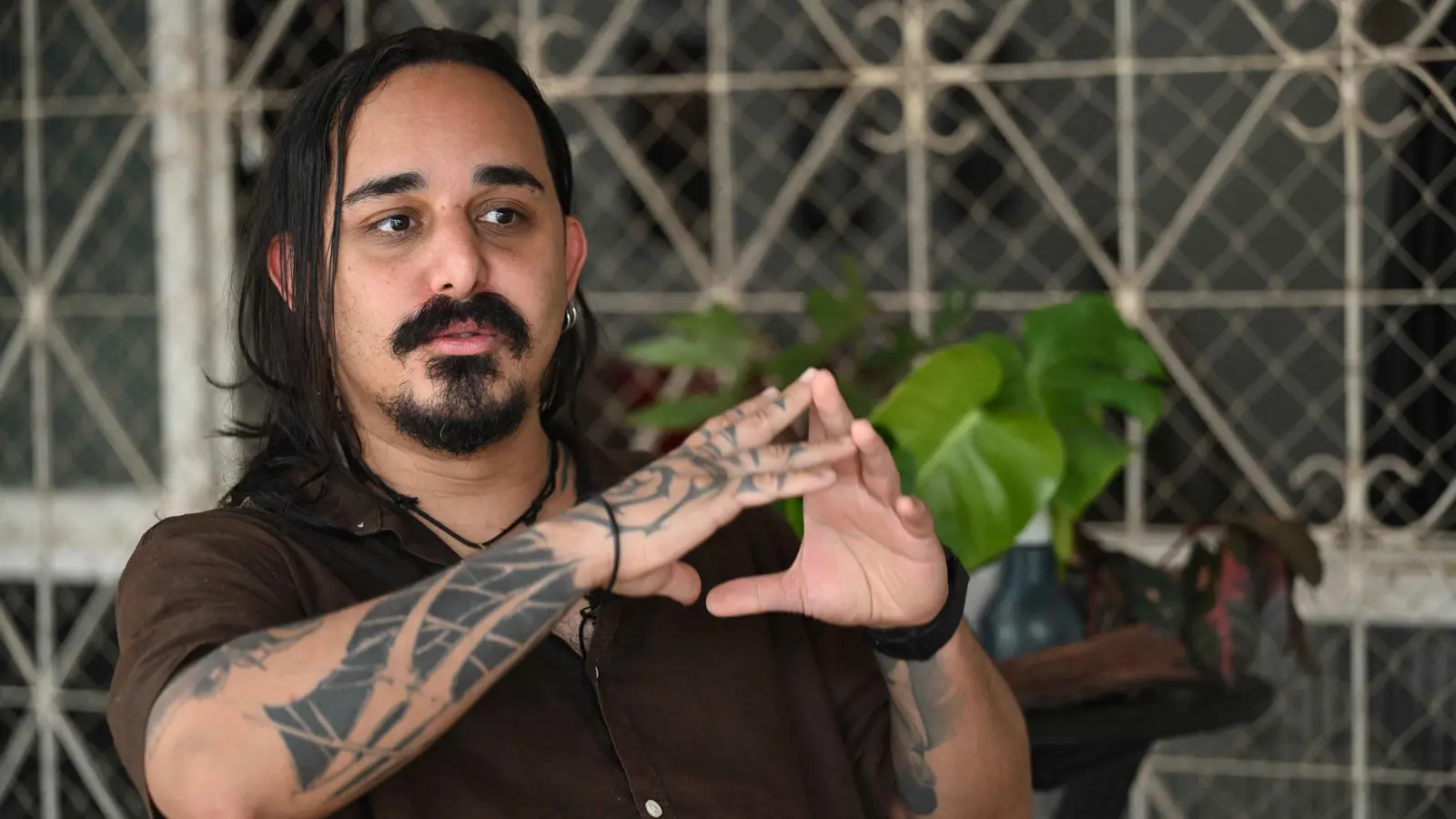 "جوريما بريتا".. نبتة مقدسة تعالج الاكتئاب في البرازيل (صورة)