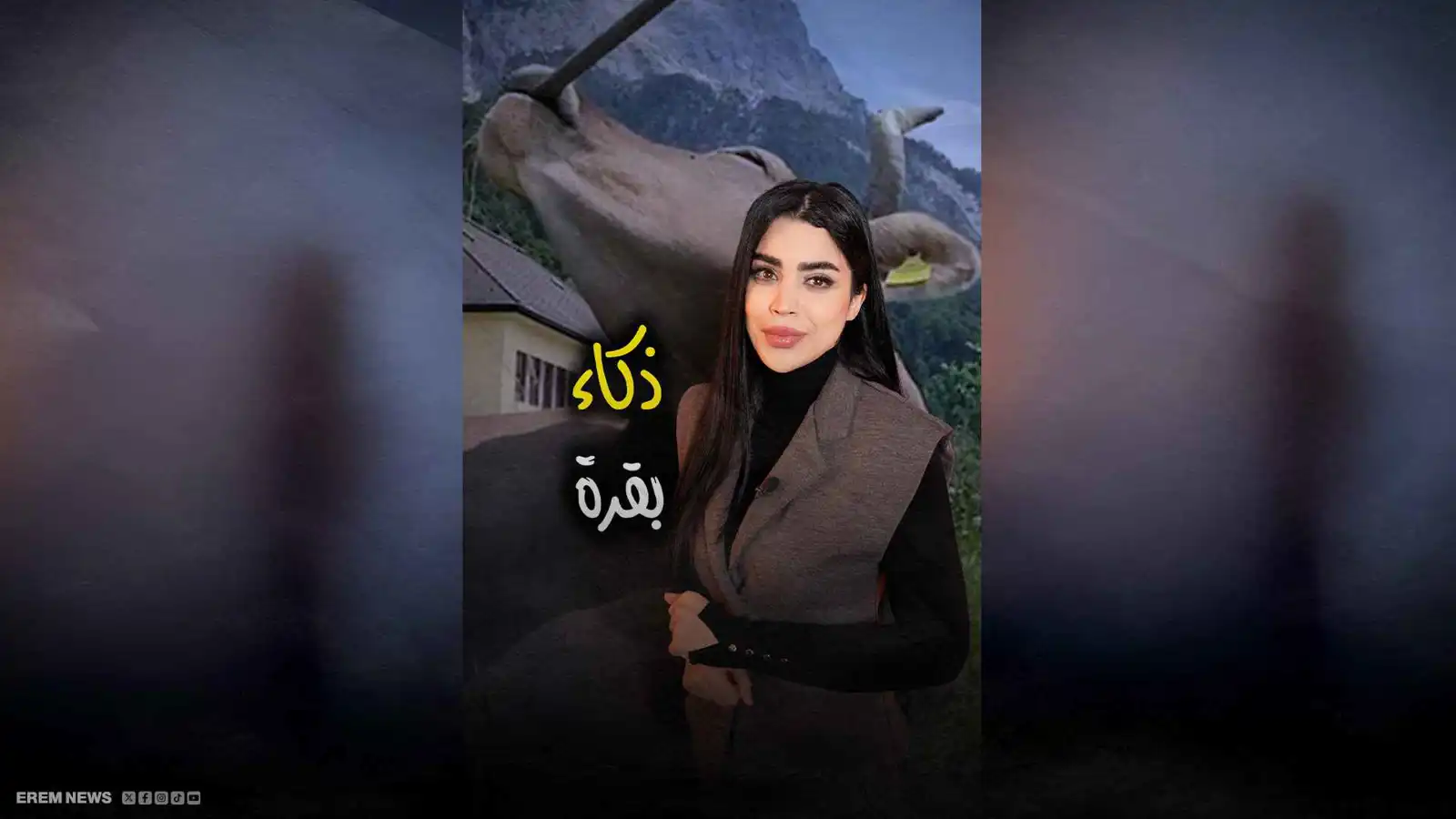 "فيرونيكا" الذكية.. البقرة التي كسرت قوالب العلم (فيديو إرم)