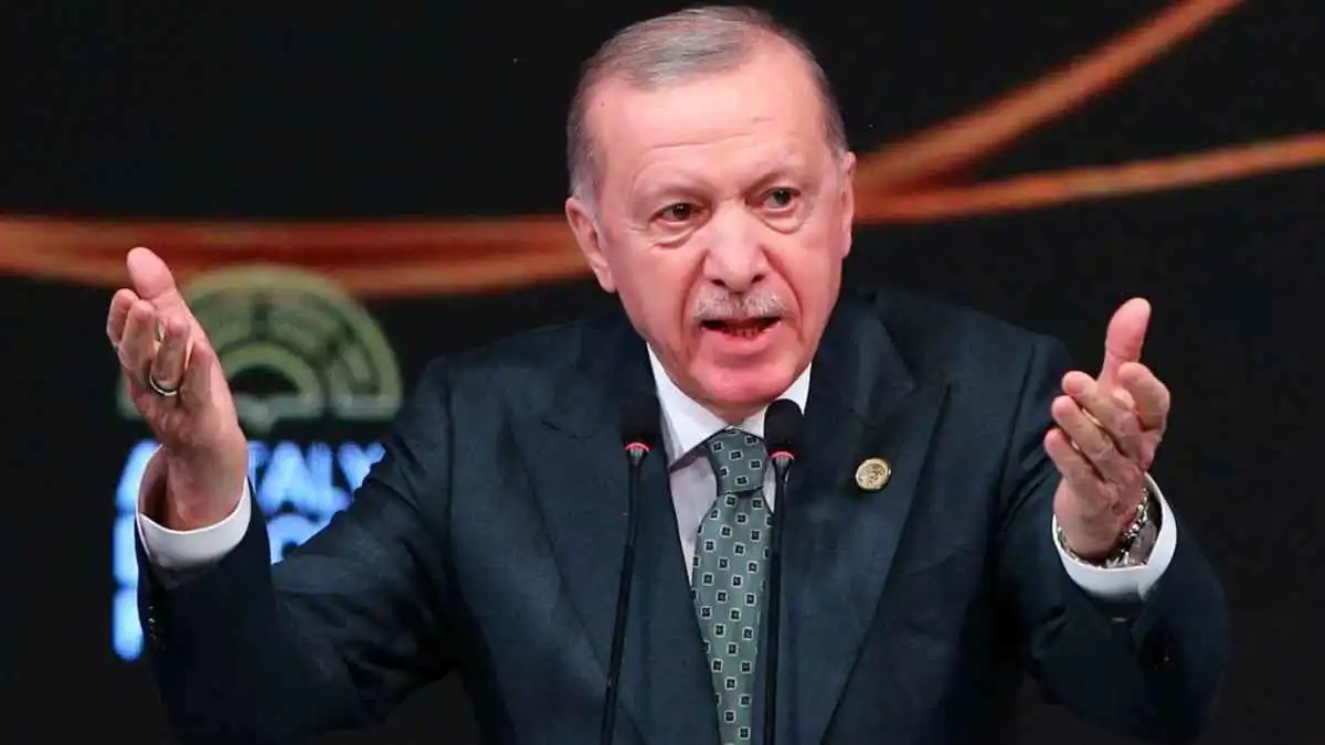 تركيا تعتقل ناشطة إسرائيلية بتهمة التطاول على أردوغان (صورة)