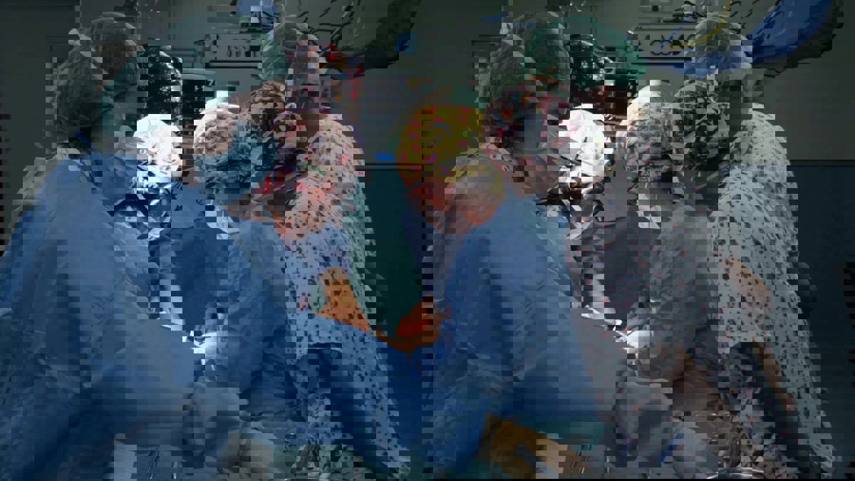 نجاح أول عملية زراعة أمعاء في العالم