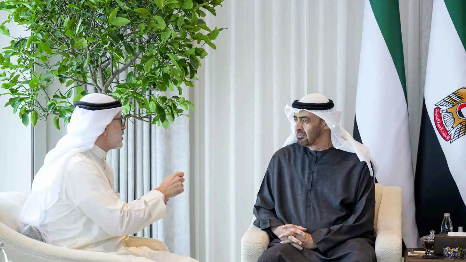 محمد بن زايد يبحث تطورات المنطقة مع وزير خارجية الكويت