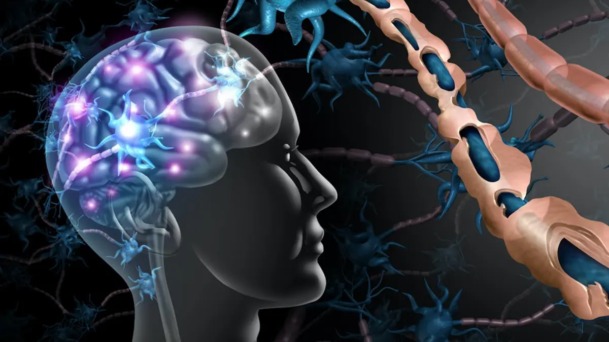 دراسة بحثية تبشر بثورة في فهم عمل الدماغ البشري