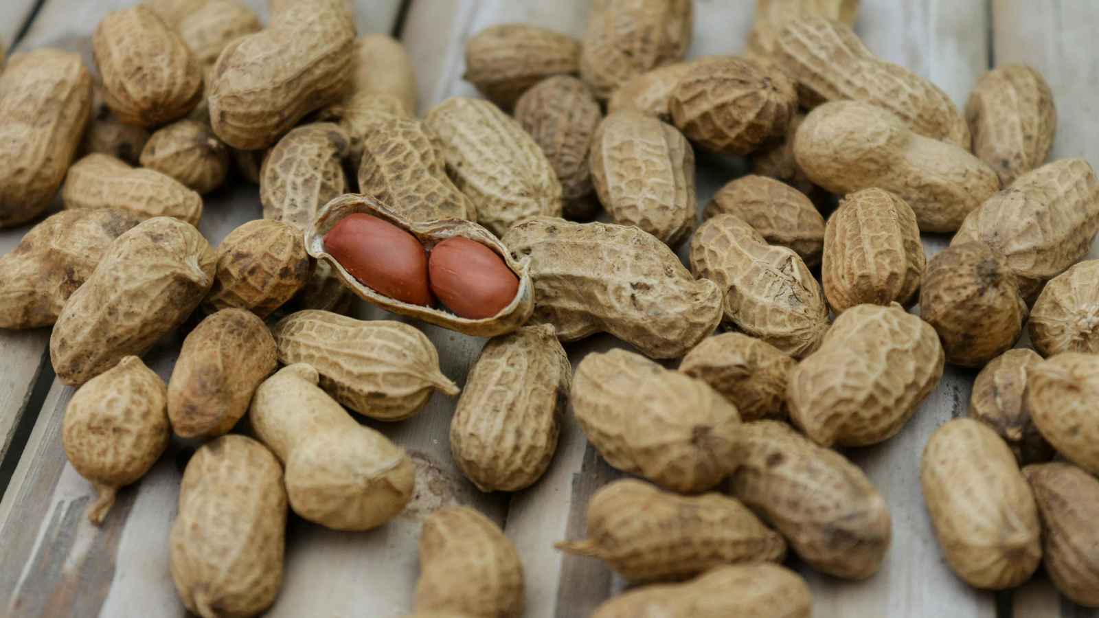 أضرار "غير متوقعة" للفول السوداني