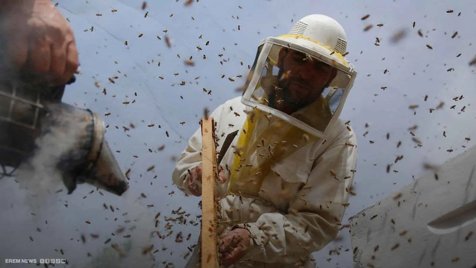 "حب قاتل".. لدغة نحلة تنتزع الحياة من تركي