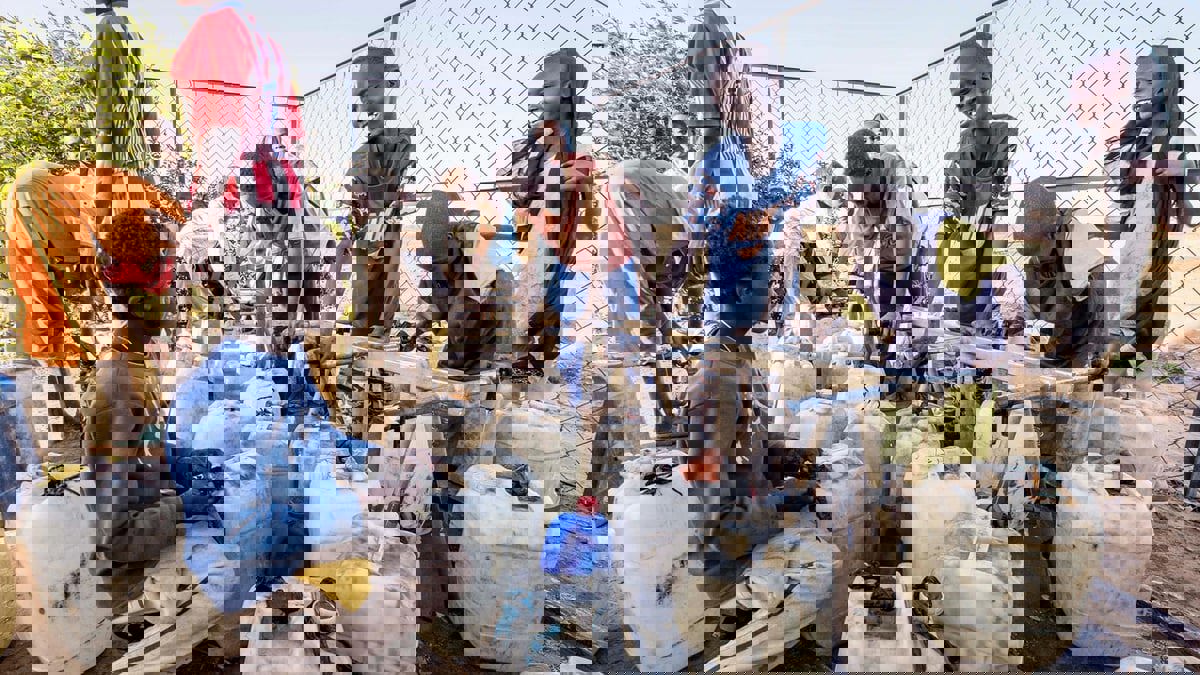 تقرير دولي: 8 ملايين طفل سوداني في دائرة الخطر