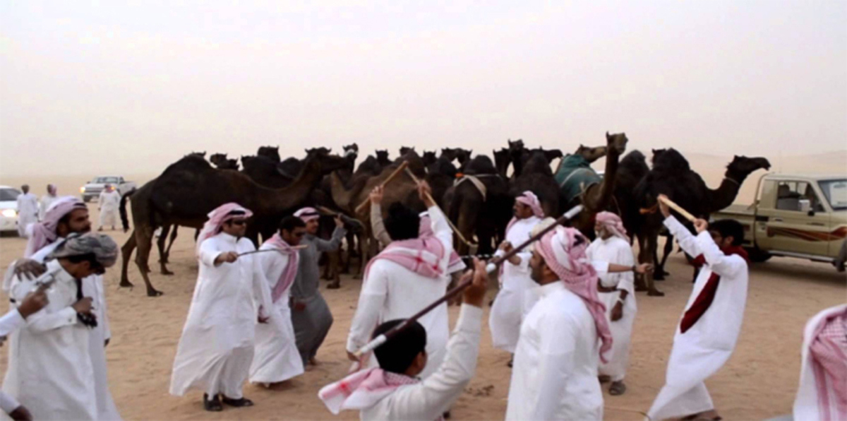 "مزايين الإبل" يشعل ساحات تويتر السعودية (فيديو إرم)