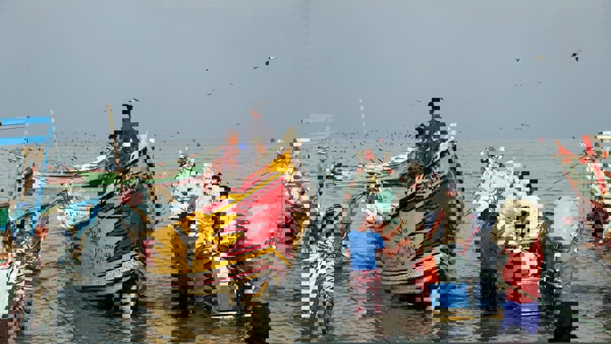 إرتيريا تفرج عن 198 صيادا يمنيا بعد 3 أشهر من احتجازهم