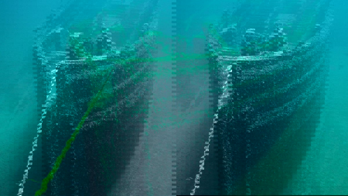 قلادة من الذهب بأسنان قرش منقرض في حطام "تيتانيك"