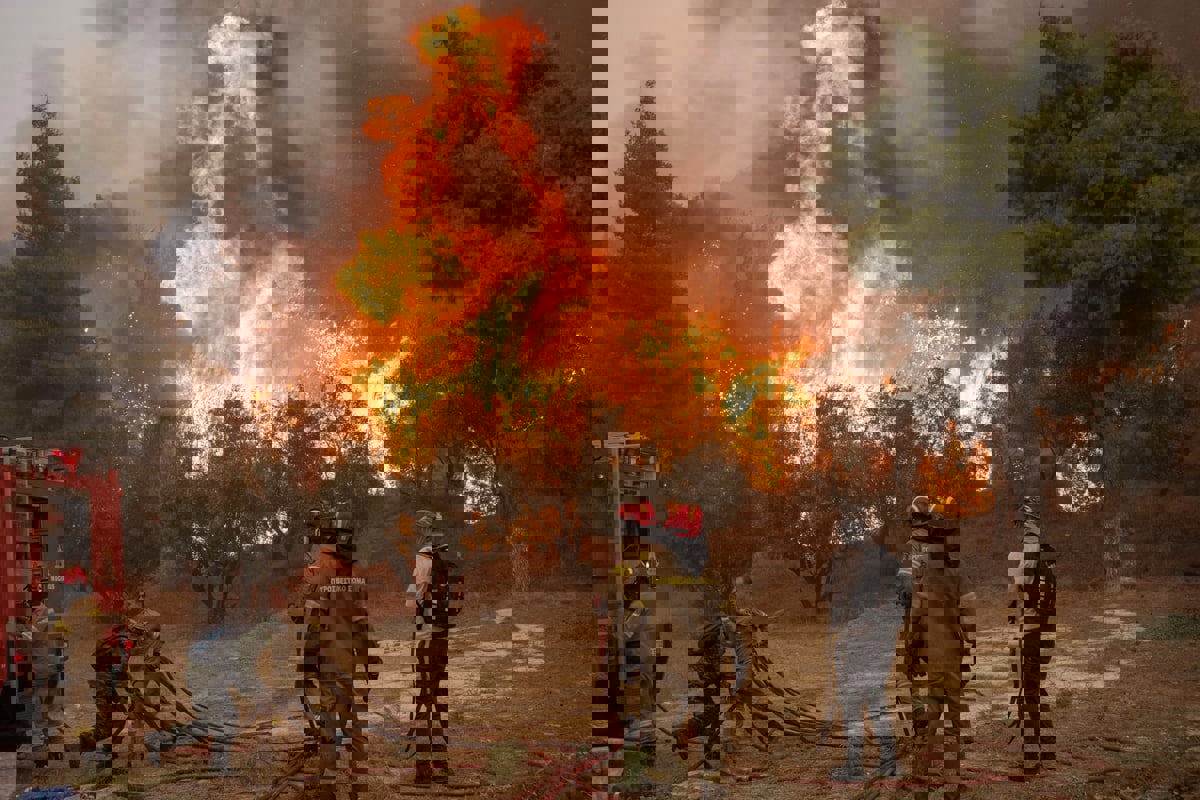 مع توقع موسم صعب.. اندلاع حريق غابات جديد في اليونان 