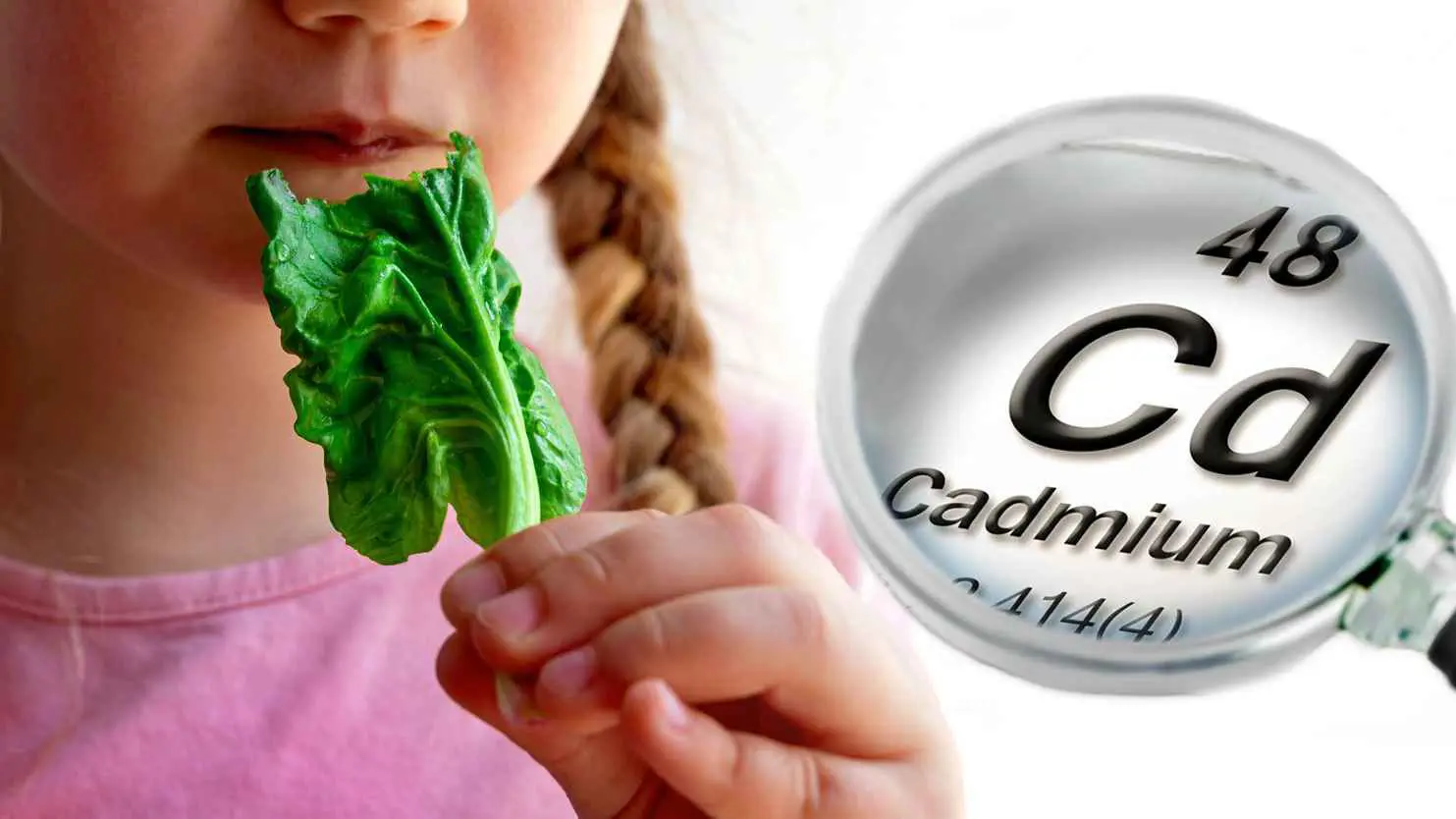 الكادميوم في وجبات الأطفال.. سمّ يتسلل من الغذاء إلى الدم