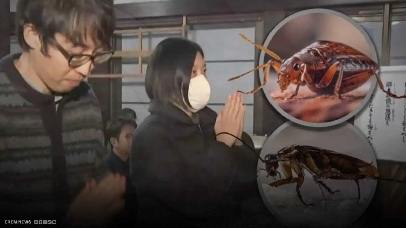 طقوس غير مسبوقة.. شركة تقيم تأبيناً رسمياً للحشرات (فيديو إرم)