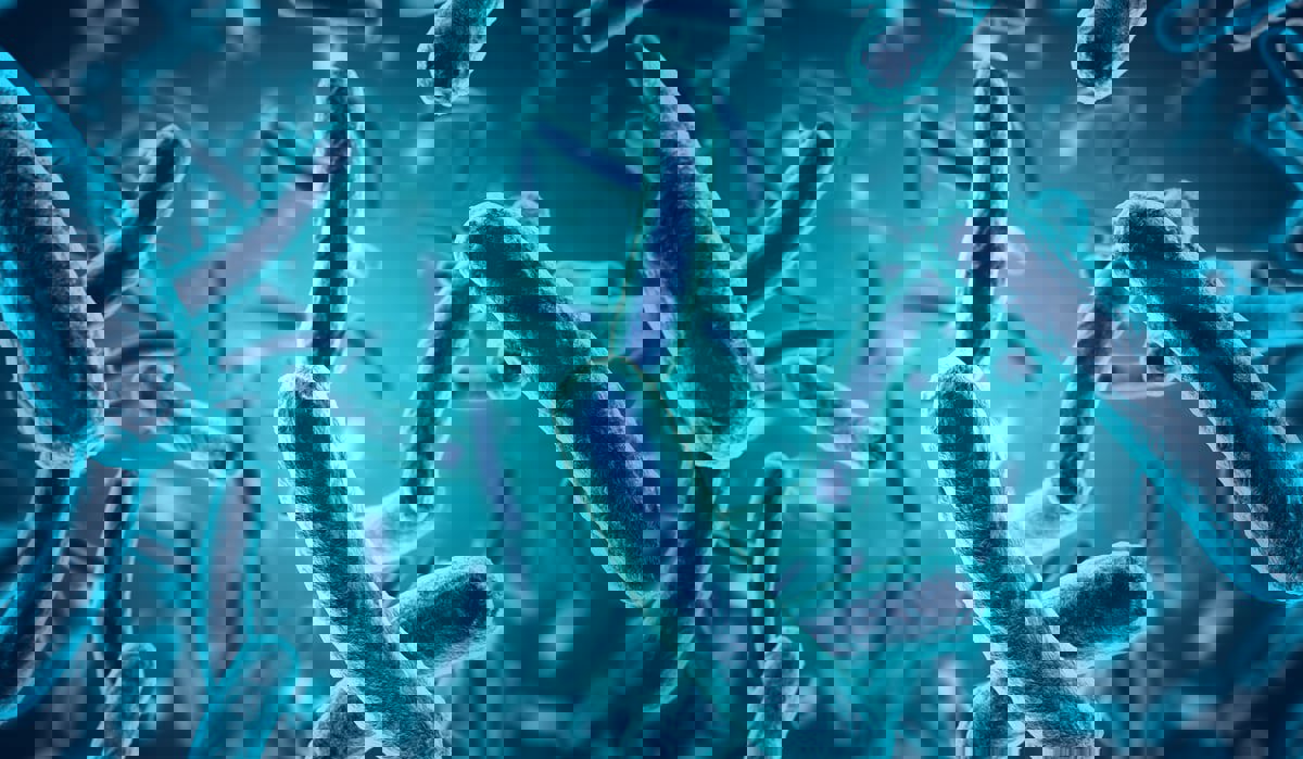 كيف تؤثر بعض أنواع بكتيريا الأمعاء على نفسية الشباب؟