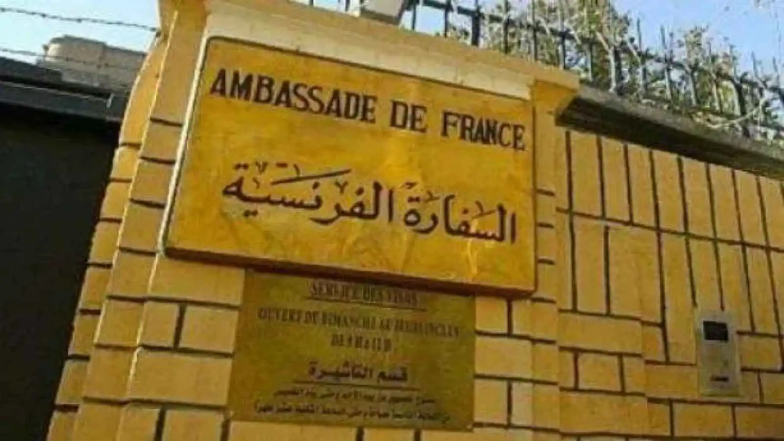 رغم التوترات.. السفارة الفرنسية بالجزائر تصدر آلاف التأشيرات الدراسية