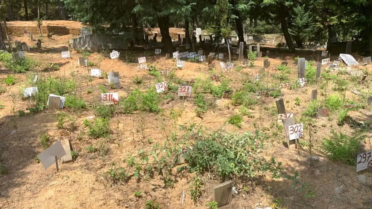 بعد 3 سنوات من البحث.. عائلة تعثر على قبر ابنتها المجهول (فيديو)