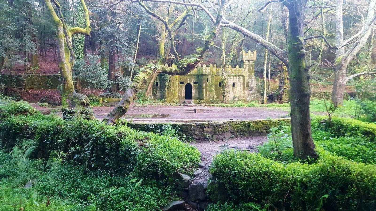 "غابة ألدان المسحورة".. وجهة خريفية تبدو من قصص الخيال (صور)