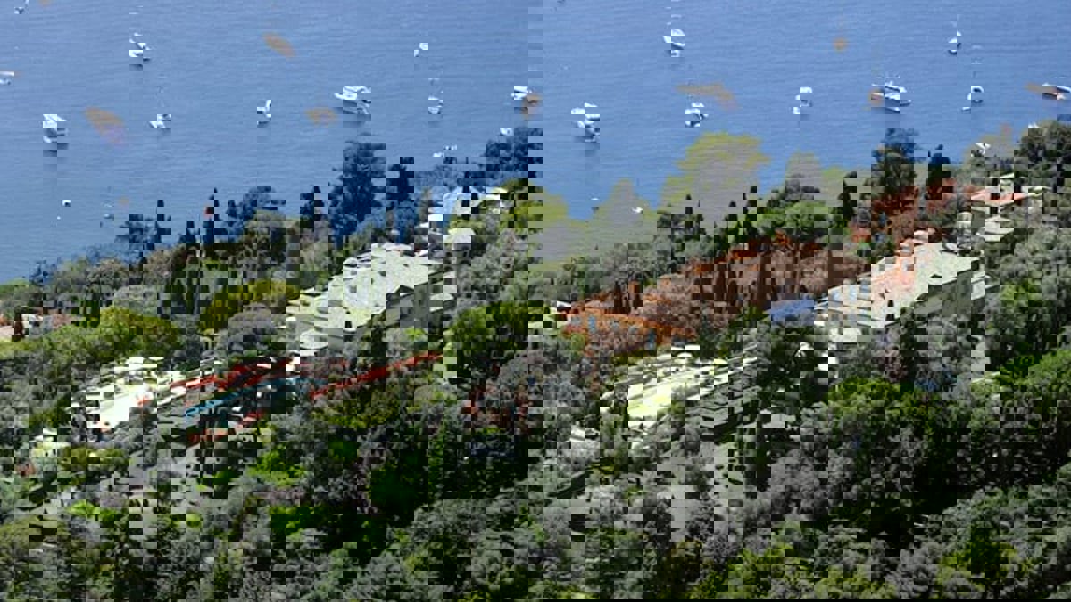 لوحات ويخوت وطائرات.. تعرف على أغلى 10 سلع في العالم