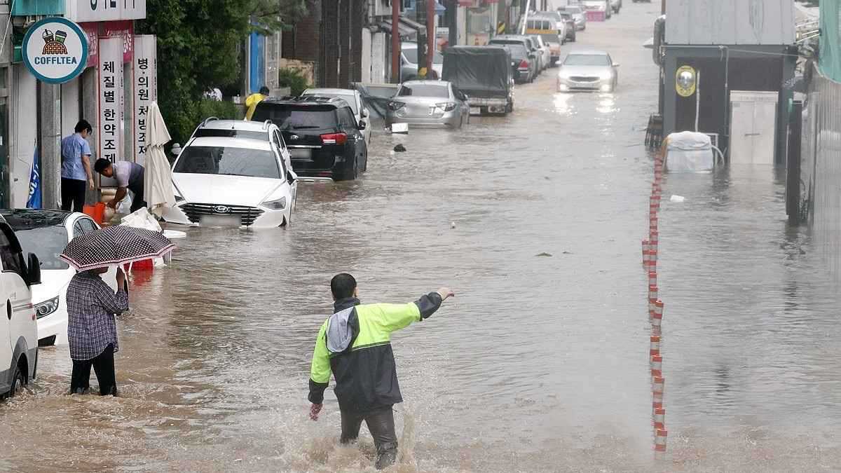 الكارثة تتفاقم.. تزايد ضحايا الأمطار في كوريا الجنوبية (فيديو)