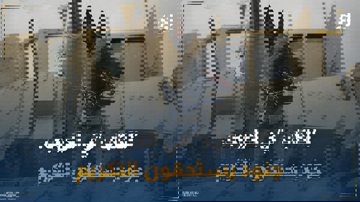 "الكلاب" في الحروب.. جنود يستحقون التكريم