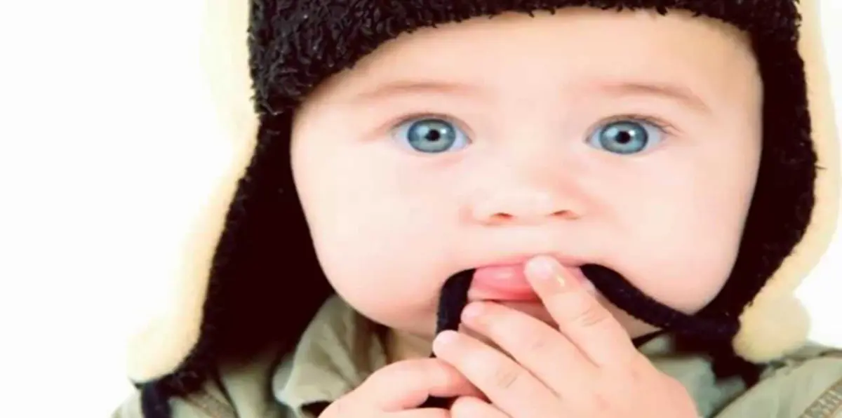 "الطفل العنكبوت".. إيراني يتحول إلى نجم على "السوشال ميديا" (فيديو وصور)