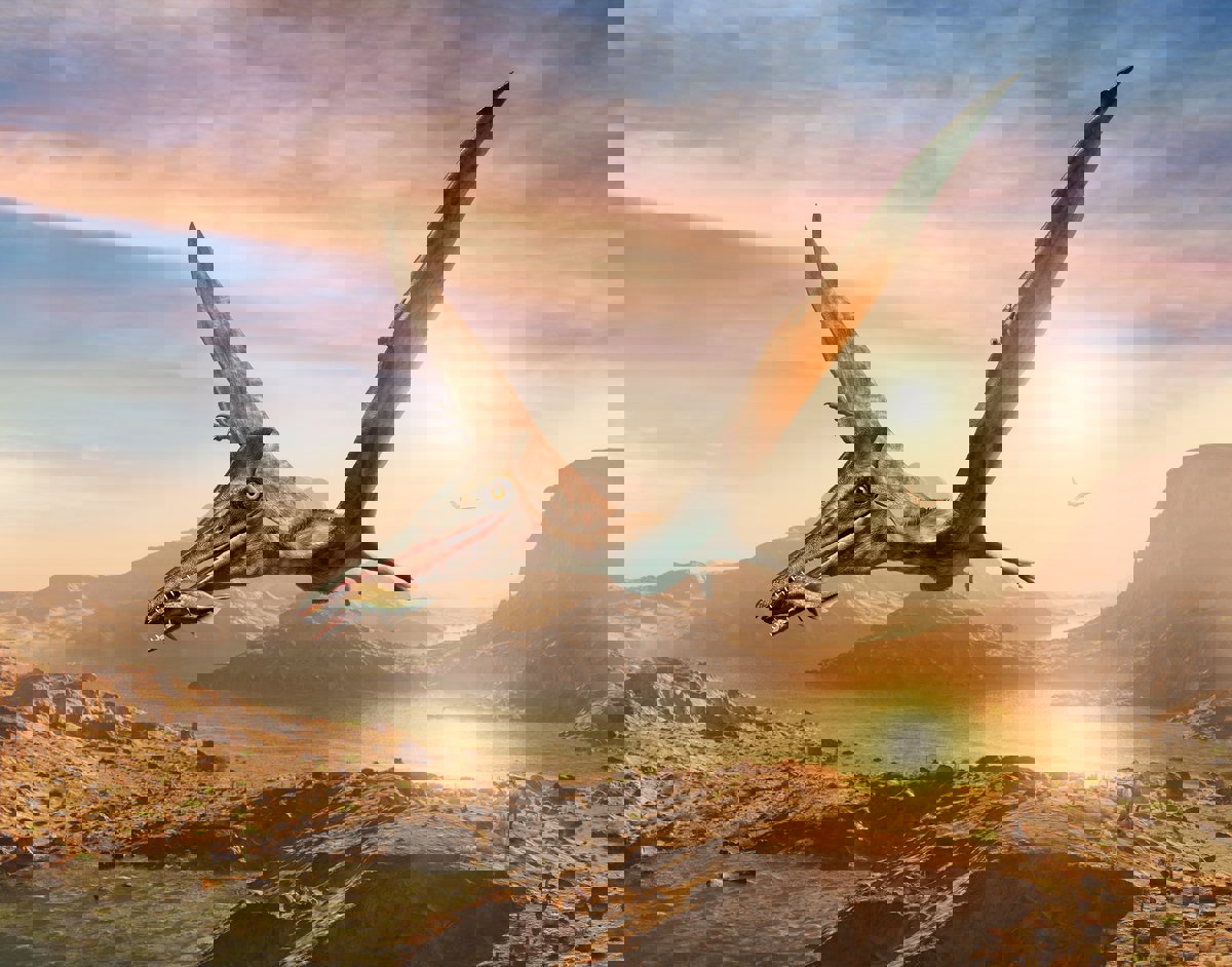 العثور على هيكل عظمي لديناصور طائر على شواطئ اسكتلندا (صور)