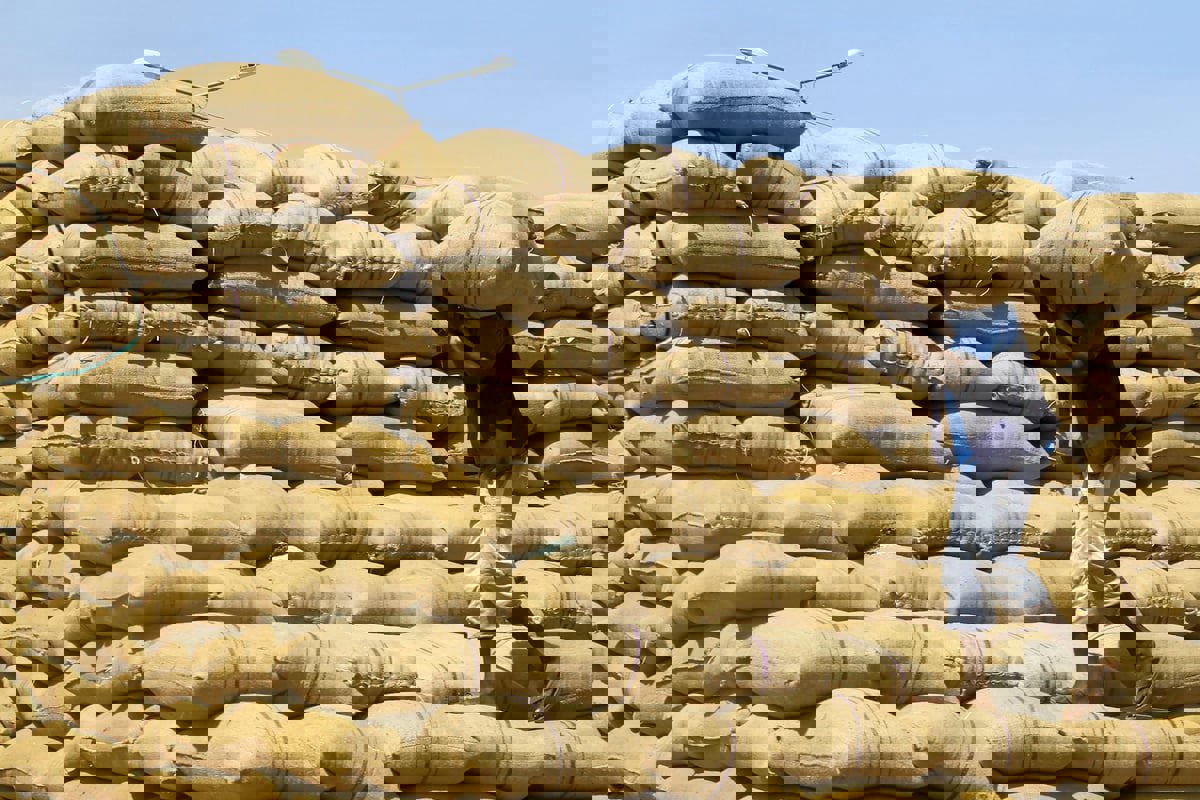 تحذير من تعرض السودان إلى "أكبر أزمة جوع" في العالم