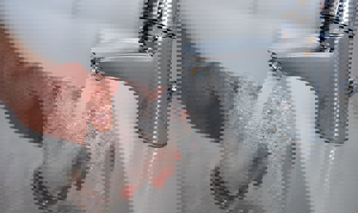 دراسة: تجنب الماء بعد الوجبات لصحة الجهاز الهضمي‎