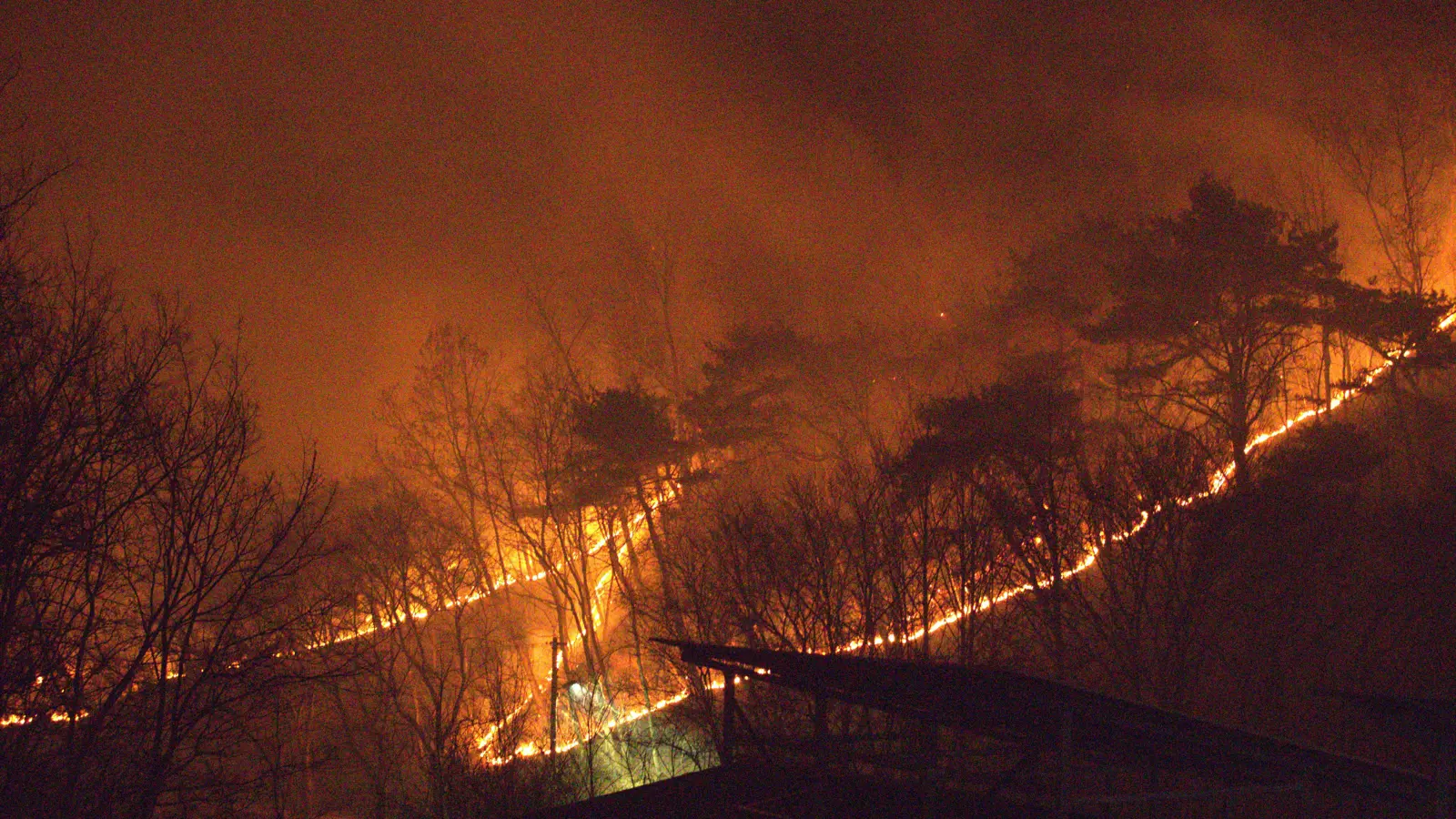 كوريا الجنوبية.. حرائق الغابات تخرج عن السيطرة في ويسونج (فيديو)